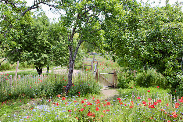 JARDIN DU LAVOIR, PARC INTERGÉNÉRATIONNEL, À SEMBLANÇAY