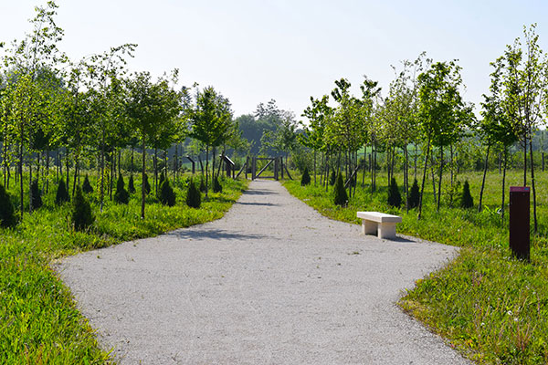 AMÉNAGEMENT DE LA PROMENADE DE CHAMPAGNE ET DU PARC DES LATITUDES À HAUSSIMONT